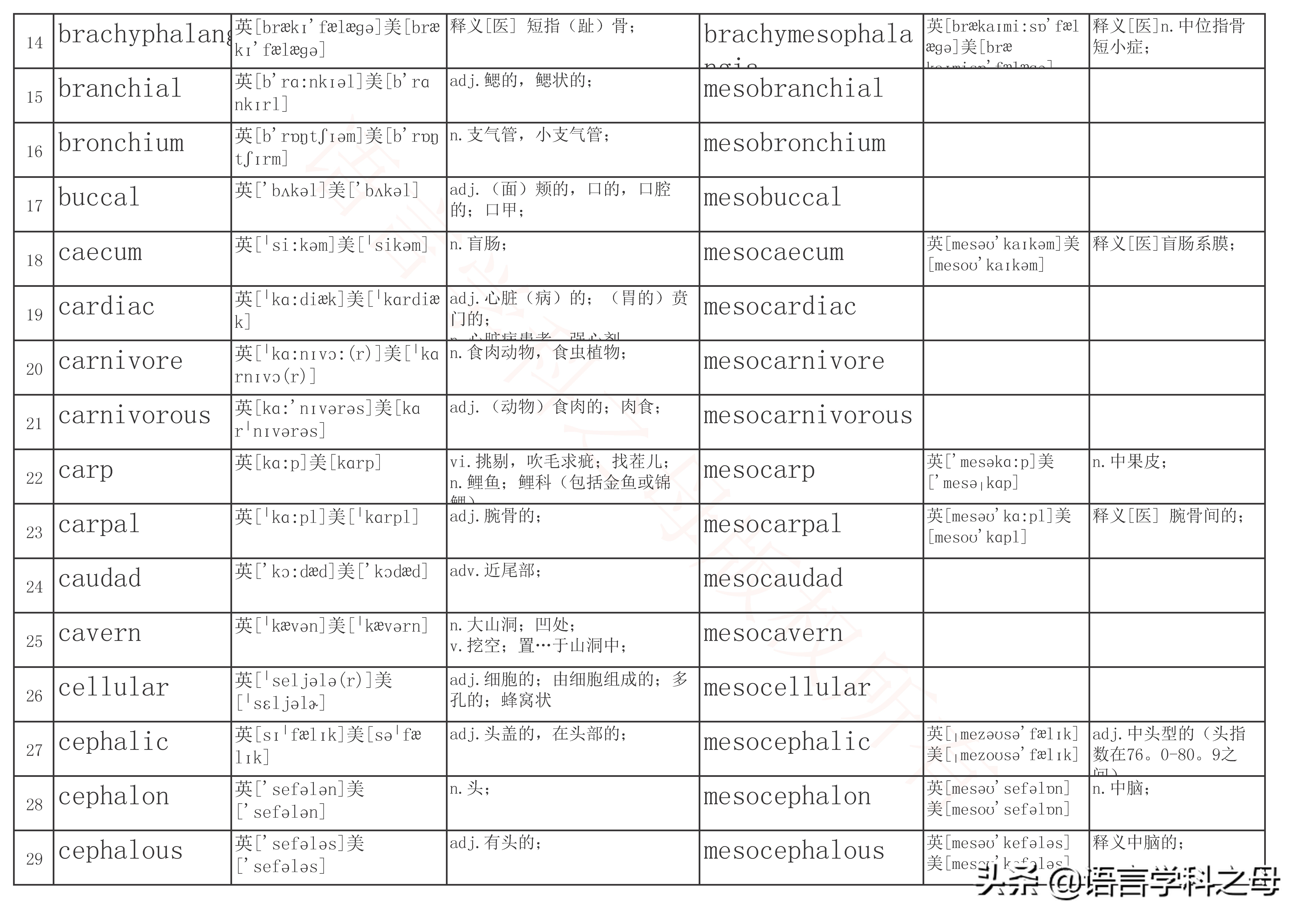 mid作前缀的单词大全,mid前缀的单词