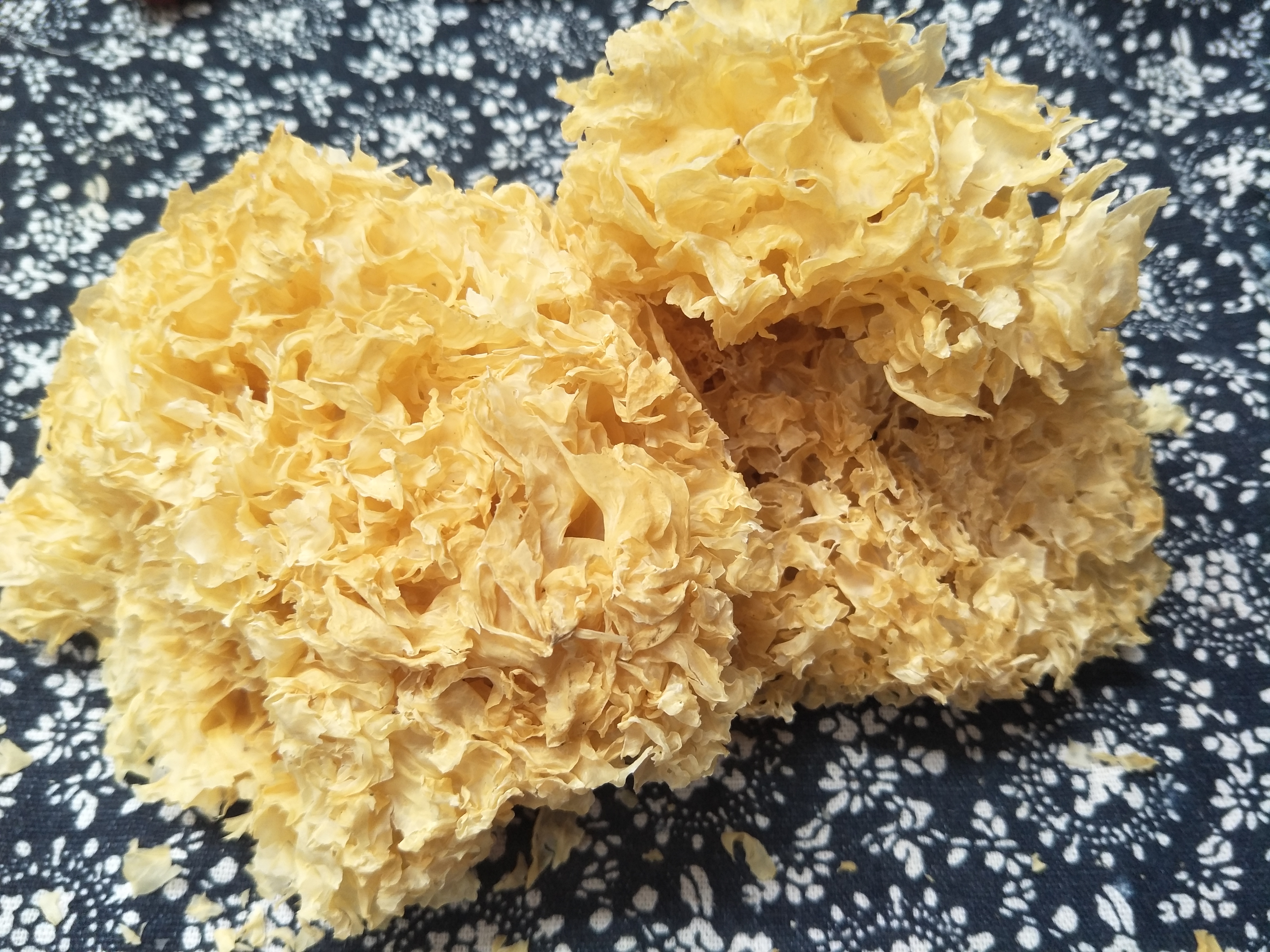 如何挑选银耳的正确方法,买银耳要买哪一种银耳容易出胶