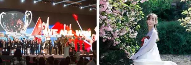 山东省高考志愿填报96个专业,山东高考志愿10万名