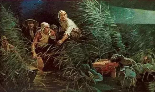 白洋淀荷花淀,荷花淀白洋淀纪事