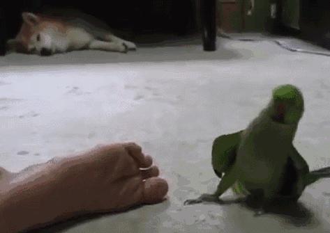 “踩在棉花”上的超厚拖鞋，价格不到30元，OMG哥轻松卖出20万双