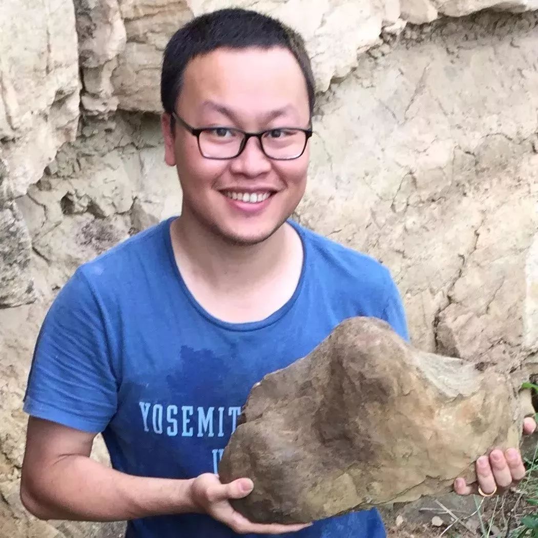 猛犸象冰河世纪的巨兽,冻土层下的猛犸象牙