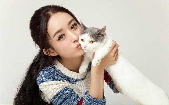 赵丽颖离婚后涨粉了多少,赵丽颖离婚后涨粉