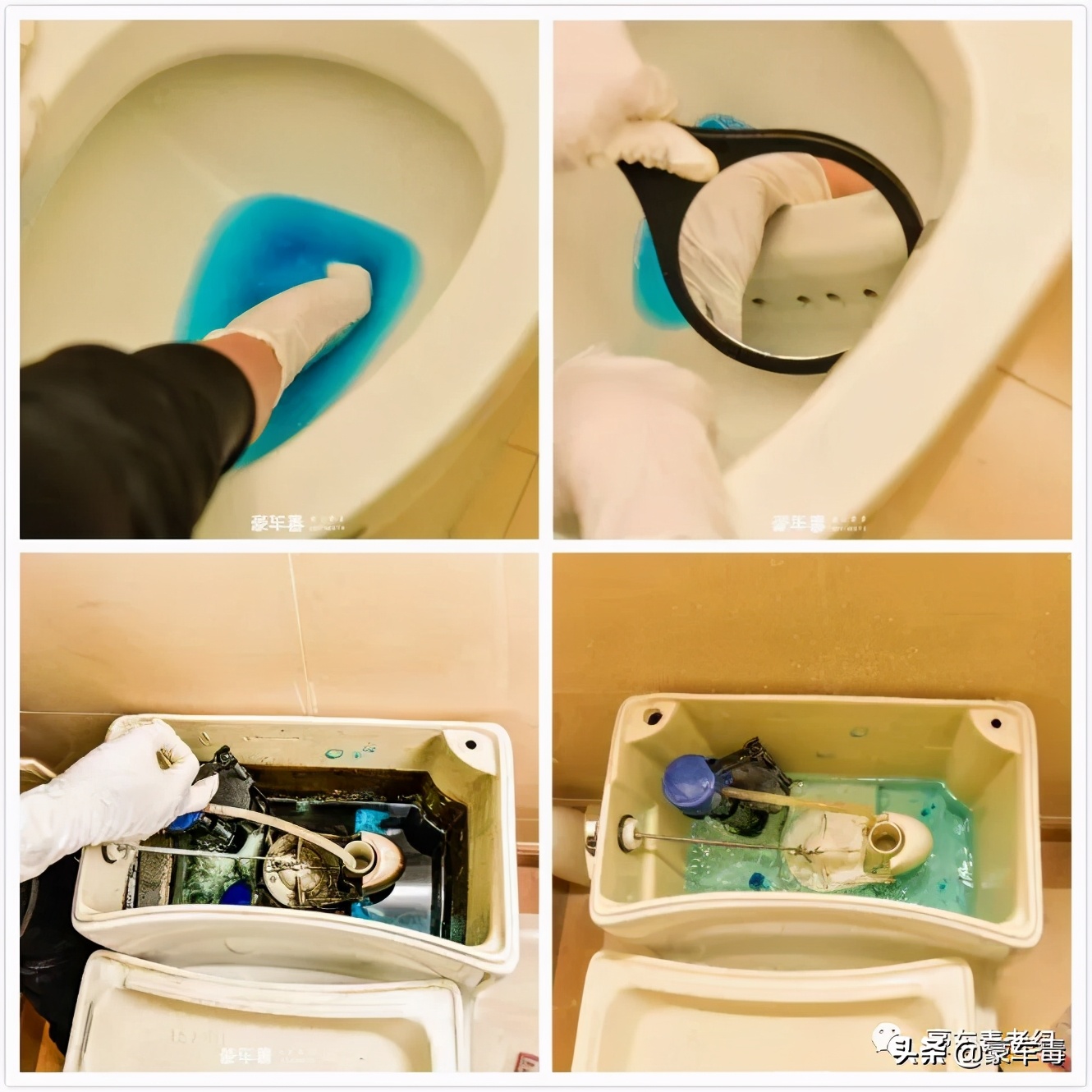 豪车毒老纪考斯特,豪车毒老纪小跟班