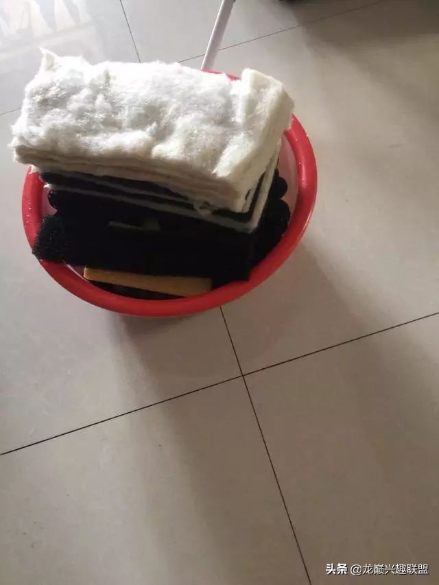 垃圾桶旁边的四方鱼缸，捡回去养了一缸金鱼，别说还挺不错