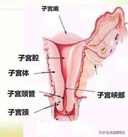 免疫治疗不良妊娠的方法,妊娠合并宫颈机能不全什么原因