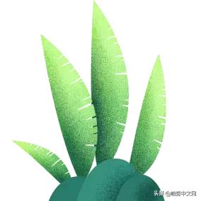 甯曞姵姘存瘝婀栫殑姘存瘝鍙互鎽稿悧,甯曞姵姘存瘝杩樿兘鎶撳悧