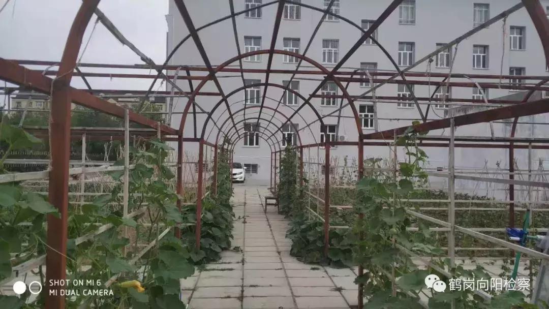 检察官援疆记录,新疆检察官援疆记