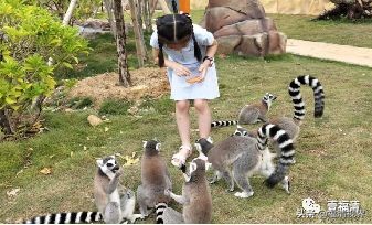 何必去远方家门口就有美丽的风景,福清文化旅游