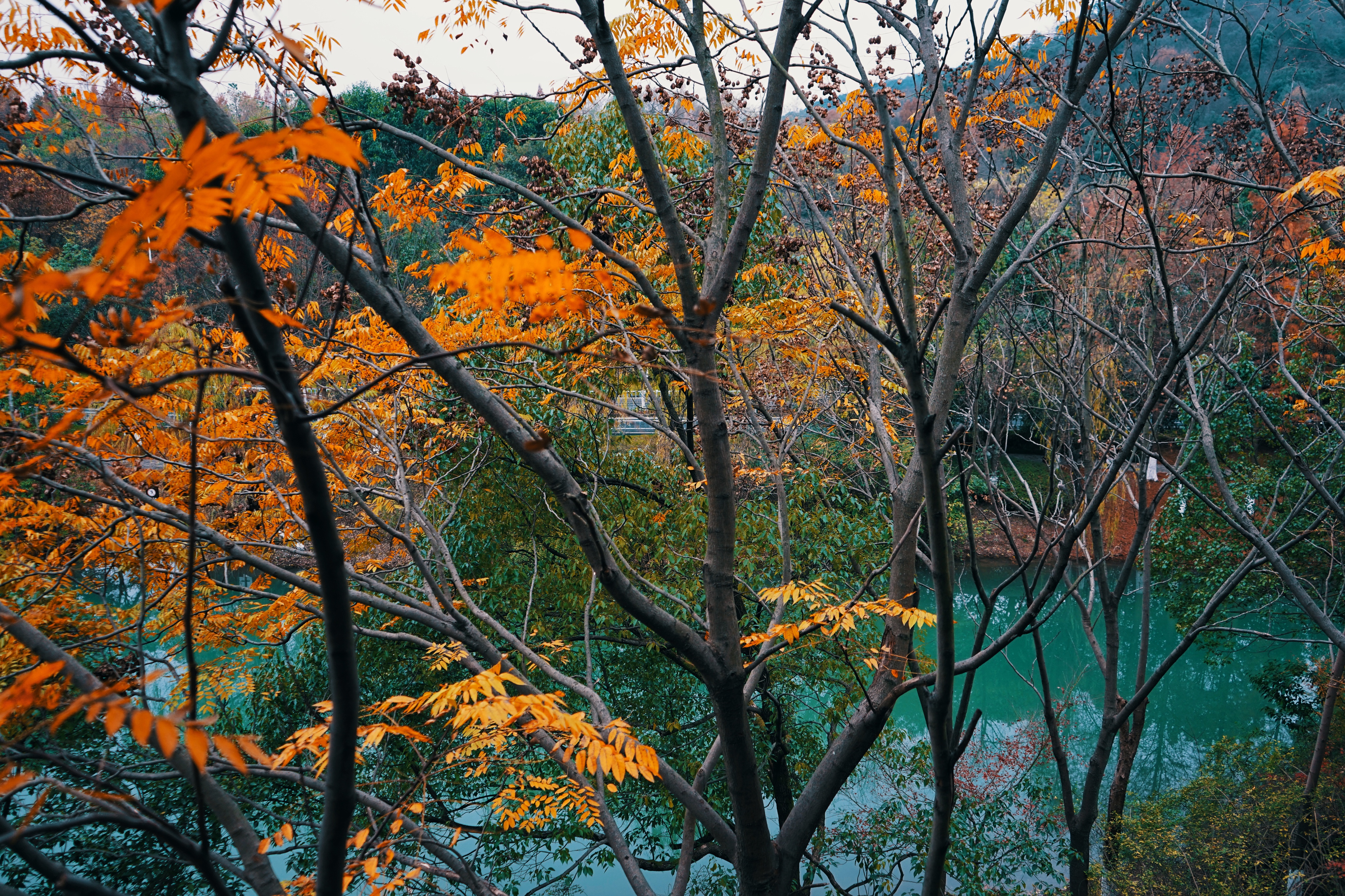 良渚君澜双人温泉,冬日暖阳泡温泉