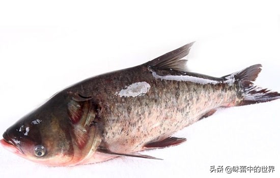 六安有什么特产小吃,安徽六安舒城特产美食