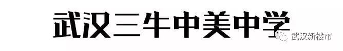汉街幼儿园是武汉最贵的吗,武汉最贵的幼儿园多少钱啊