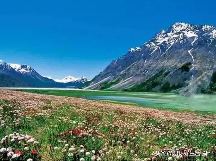 爱自驾旅行的人,爱自驾一直在路上