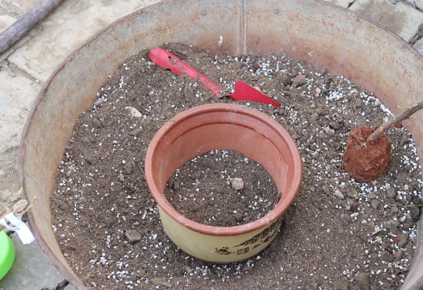 田园土与营养土配比多少适应养花,植物营养土如何自己配制