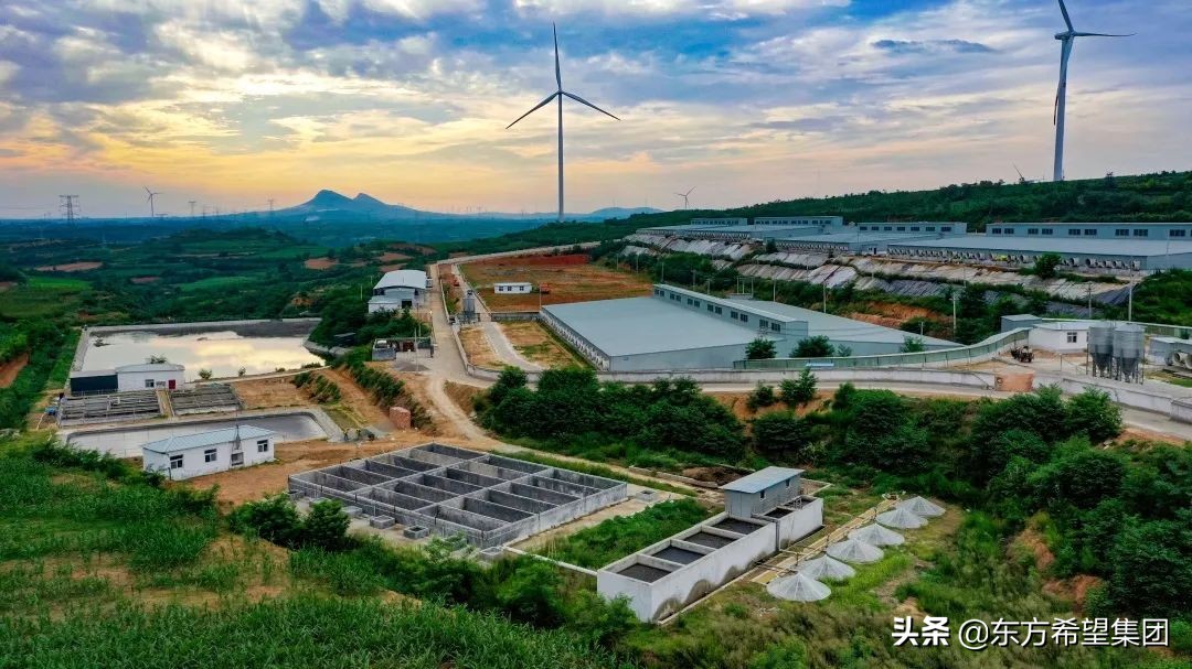 又获奖啦！东方希望集团荣获2021年“上海市五一劳动奖状”