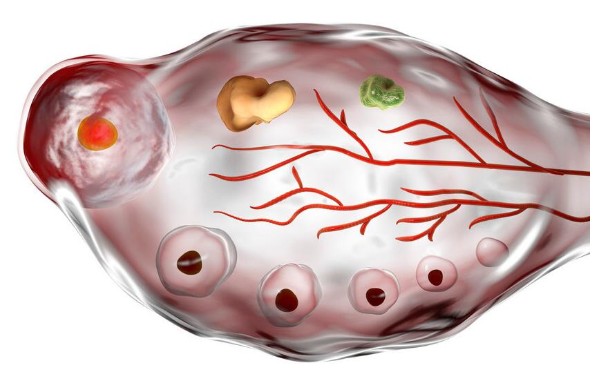 amh低对身体有什么影响,amh低怀孕的成功案例
