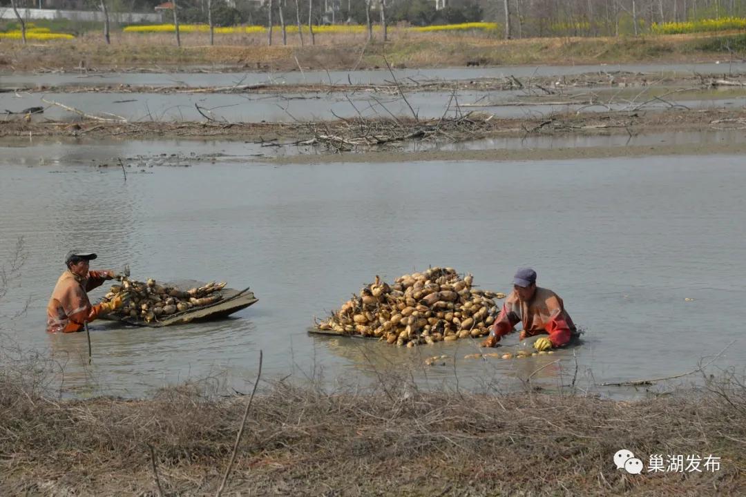 变废为宝公共区域,变废为宝再利用