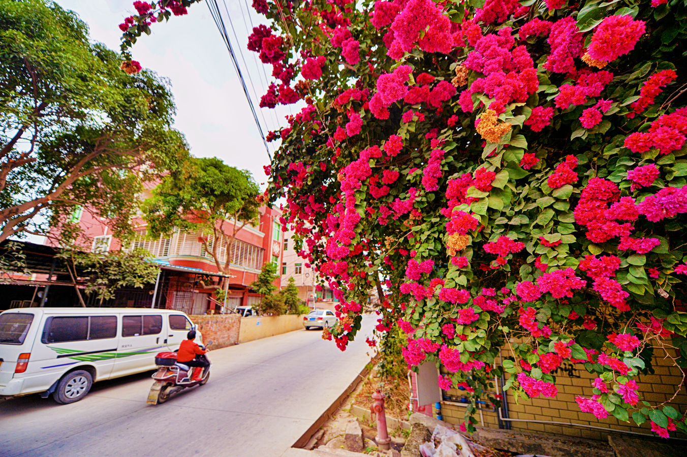 柳城露江村：村民家门口就业，挣钱顾家两不误