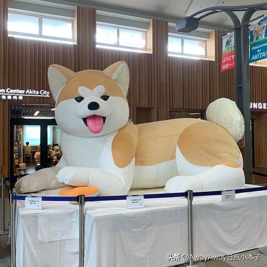 日本秋田必买的东西,日本手信必买清单护肤