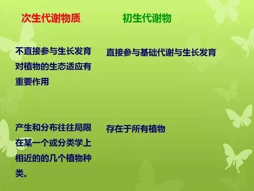 山东怀山药片药用价值,不是怀山药有药用价值吗