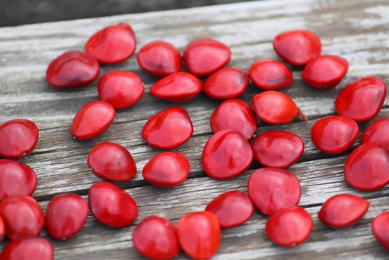 4副堪称绝对的精品对联，流传千百年，令人啧啧称叹