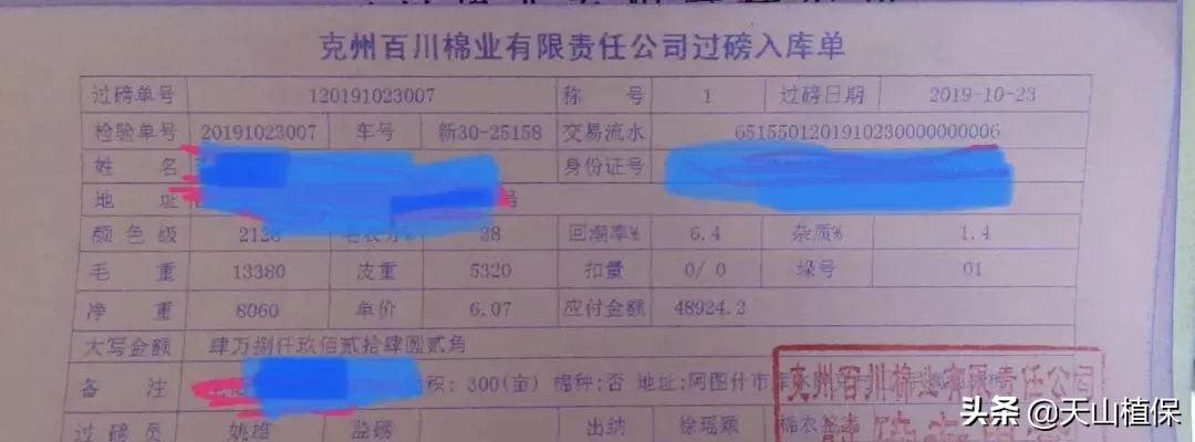 11月25日新疆籽棉收购价格,籽棉收购价格继续回落