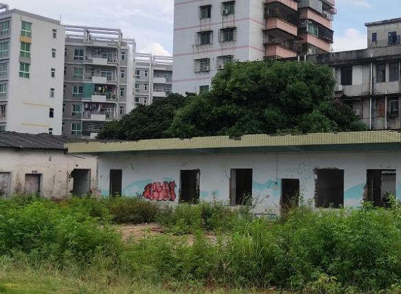 点亮容貌示范社区！快来为从化这6个社区点赞