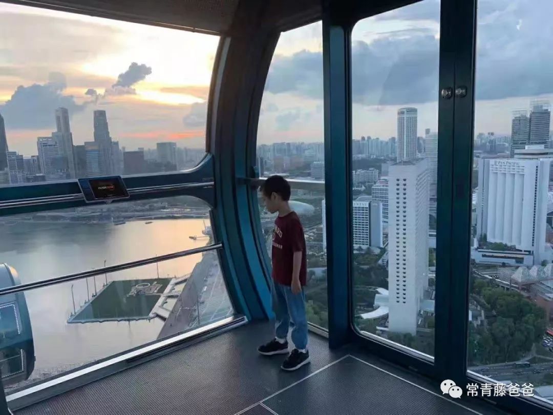 十一新加坡,十一游学新加坡