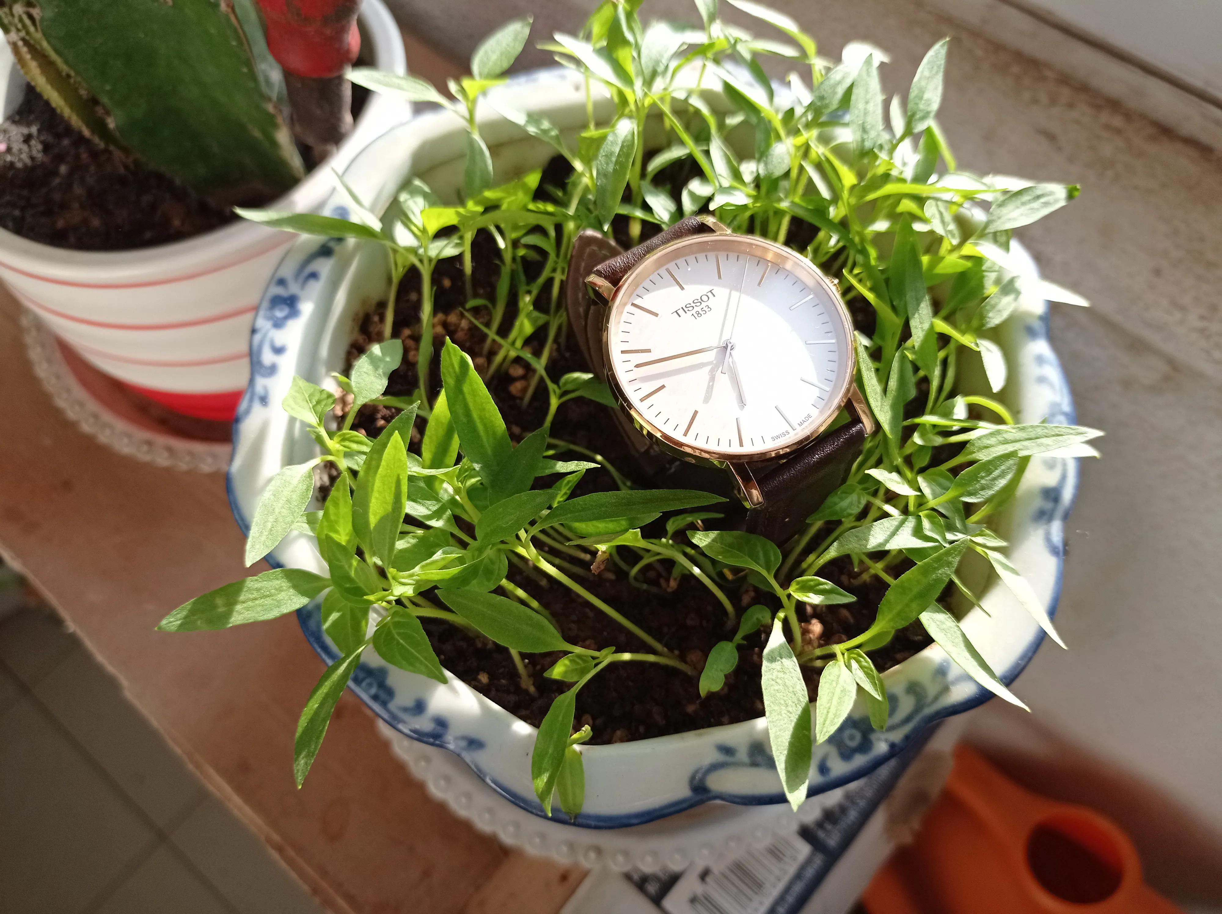 天梭经典爆款,巴黎老佛爷浪琴打折吗