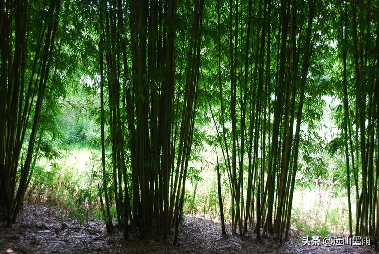 昆明嘉丽泽旅游景区,昆明嘉丽泽湿地露营