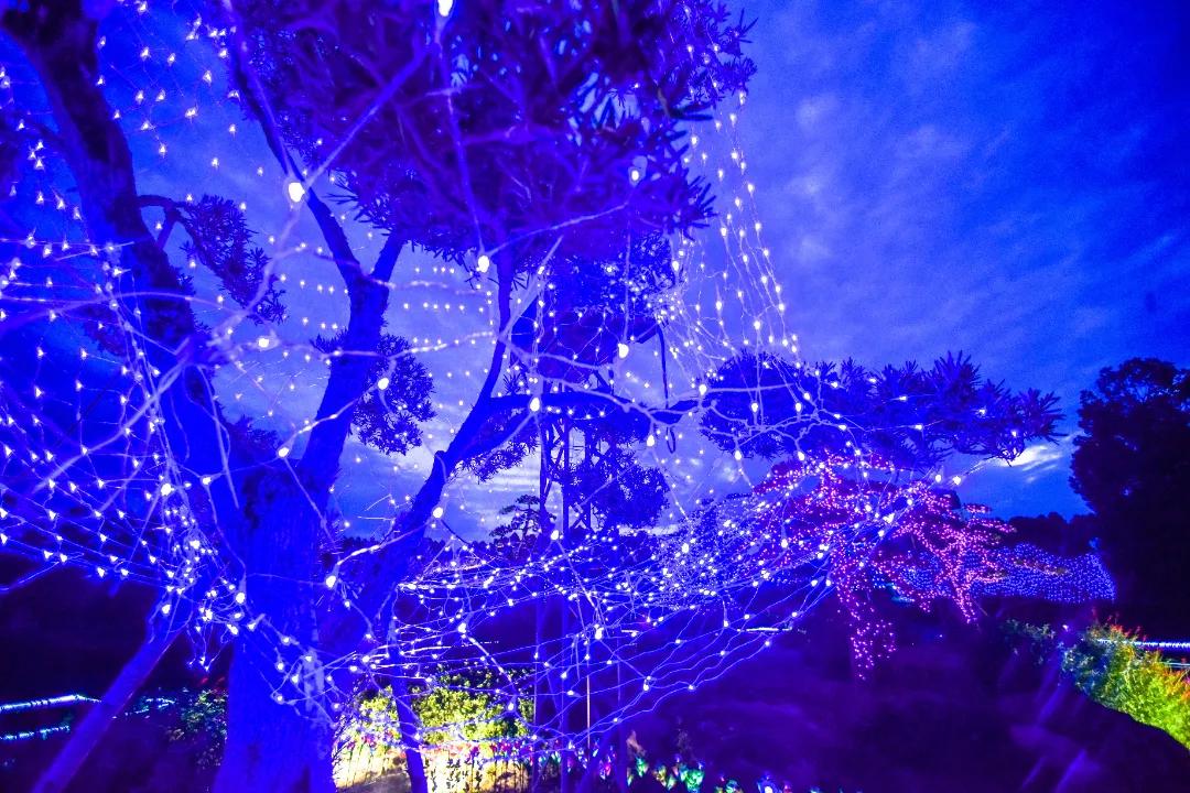 成都三圣乡恐龙主题公园,三圣乡恐龙主题公园地址