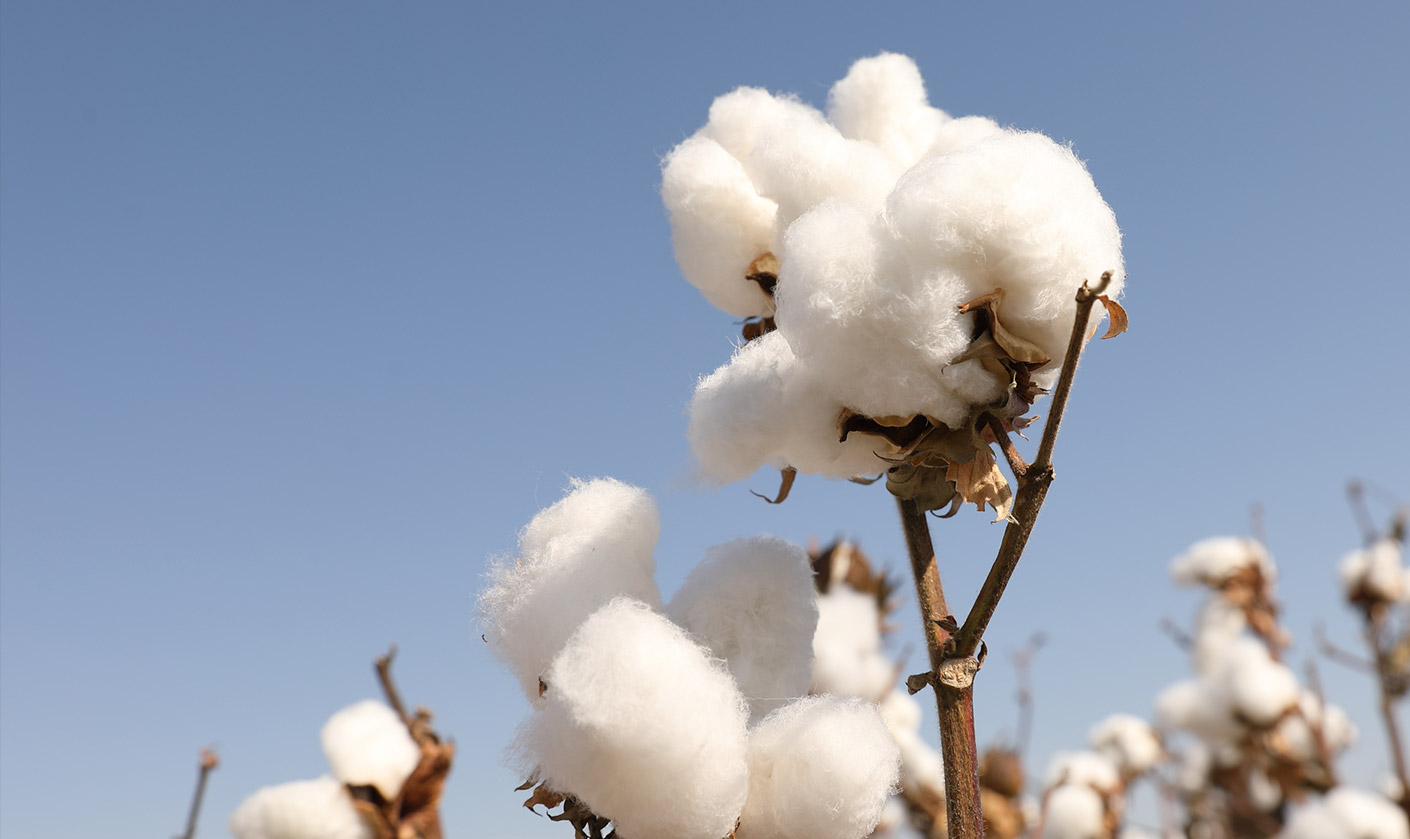 全棉时代手口湿巾和纯棉湿巾区别,手口湿巾小包装婴儿全棉时代