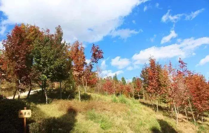 好消息昆明高新区,好消息昆明7个公园免费开放