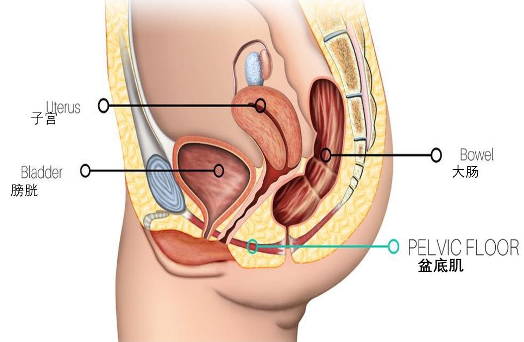 一打喷嚏就很不舒服,一打喷嚏就费劲怎么回事