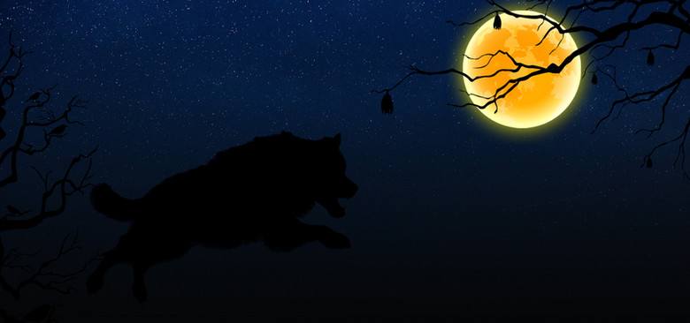 基础角色狼人杀狼人打法思路,狼人杀基本玩法