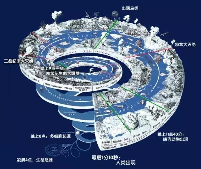 不对称体细胞杂交会怎么样,数字化转型数字孪生