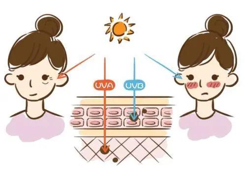 冷水洗脸收缩毛孔正确方法,冷热水交替洗脸可以收细毛孔吗