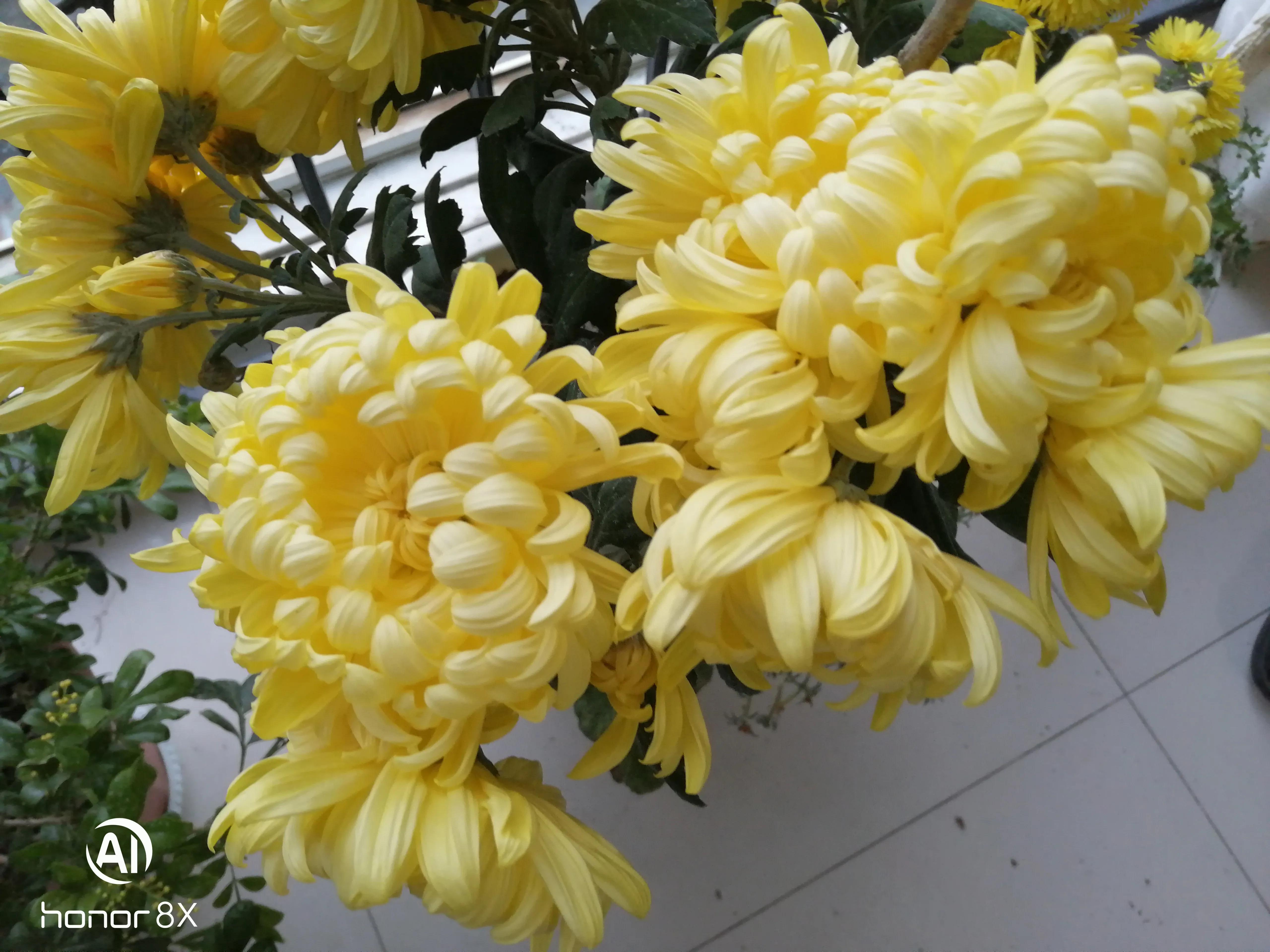 高考语文衔接题型解决方法,高二语文补救最佳方法