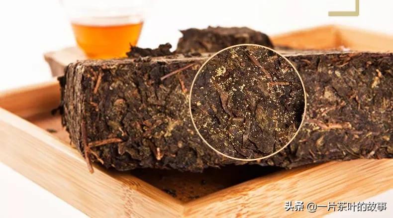 从哪些方面评价一款茶的好坏,判断黑茶品质的标准
