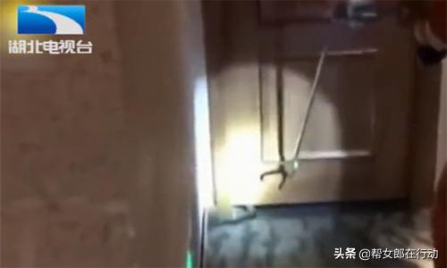 男子带毒蛇开房,强迫女子发生性关系,事后竟被被咬死