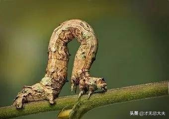 颜真卿祭侄文稿三个篆籀笔法,颜真卿的祭侄文稿中主要用的笔法