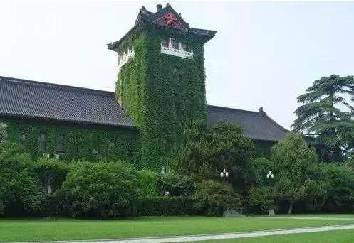 夏天可以爬墙的花,什么花爬墙一年四季都有适合房内