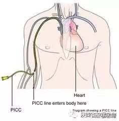 防疫科普勤洗手,防疫居家科普小知识