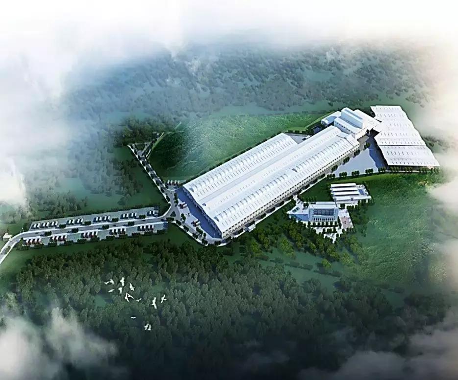 曾被洗劫。3年建了4个陶瓷厂。森大总裁沈延昌讲述真实非洲