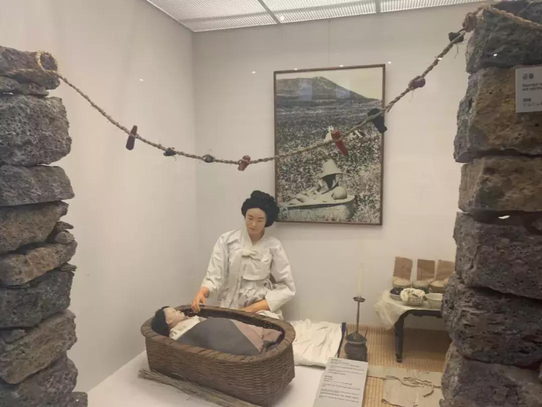 济州岛自由行详细攻略,济州岛自由行超实用攻略