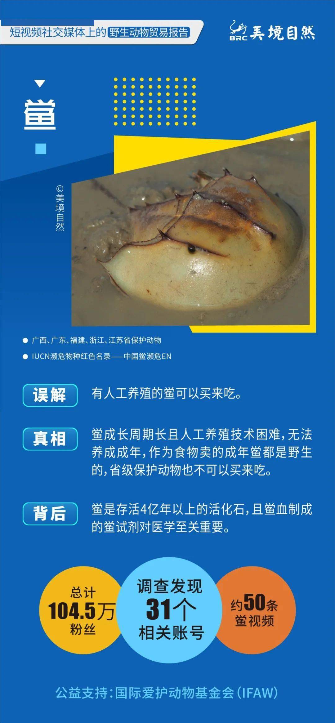 短视频以及电商生态研究报告,短视频与直播电商行业调研报告