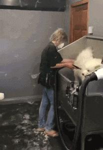 「今日逗图」强迫症患者的回车键