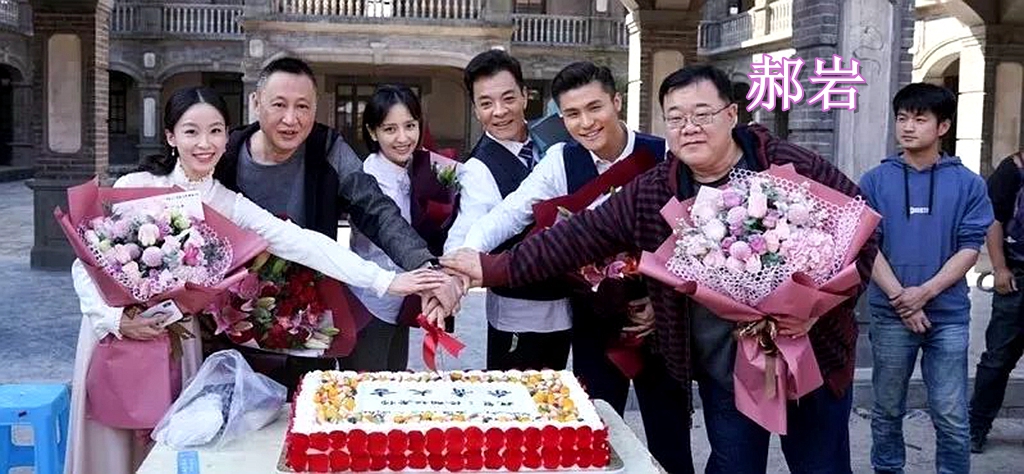 佟丽娅演的抗日电视剧有哪些,佟丽娅和杨烁主演的谍战电视剧