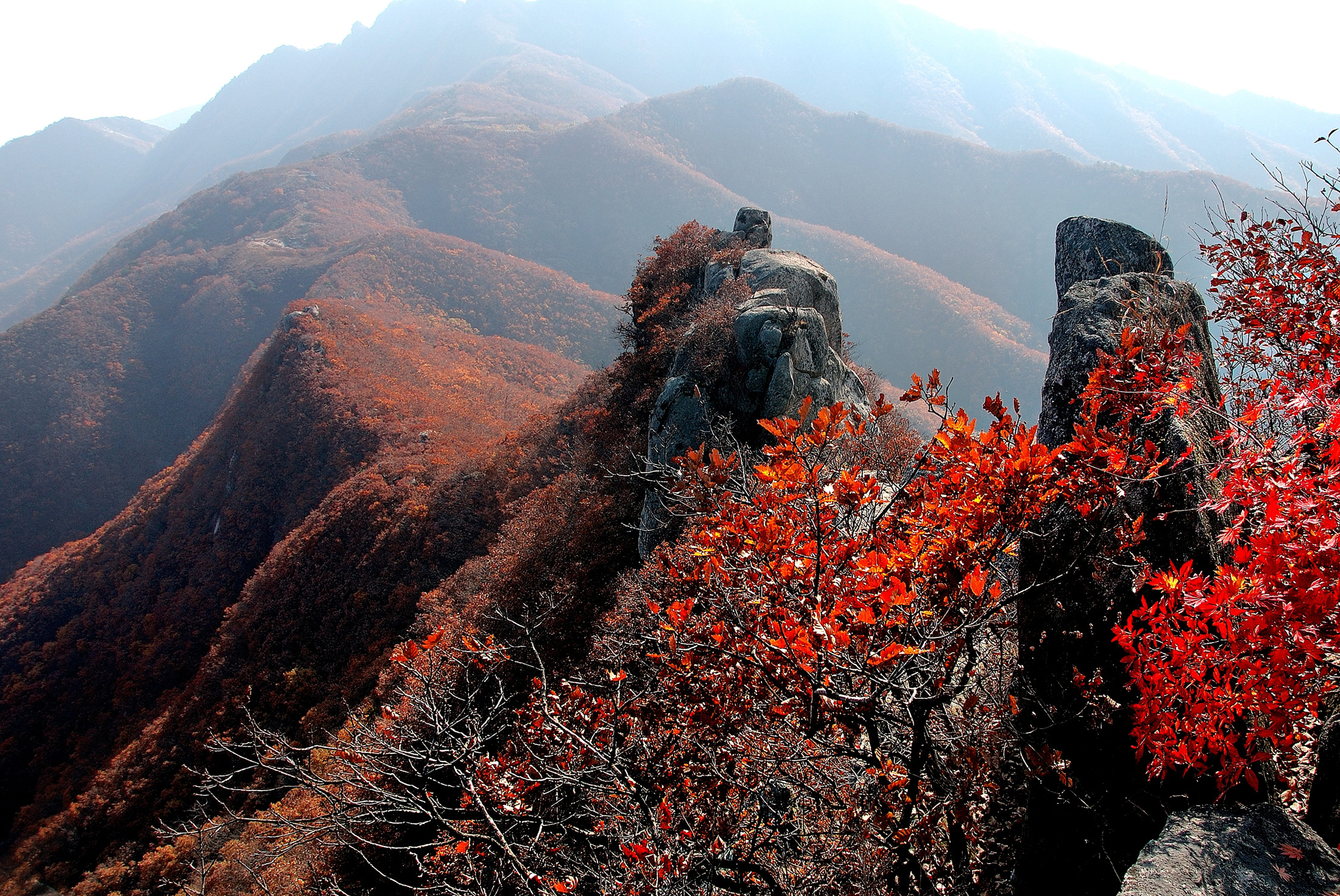 辽宁省大营镇：飞瀑流泉的“水世界”