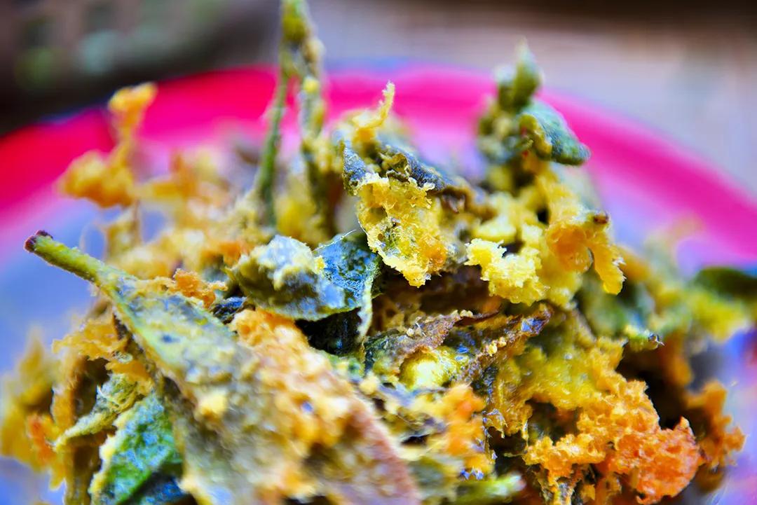 这是一个充满生机的公园怎么说,这是一个充满生机的国度朗诵